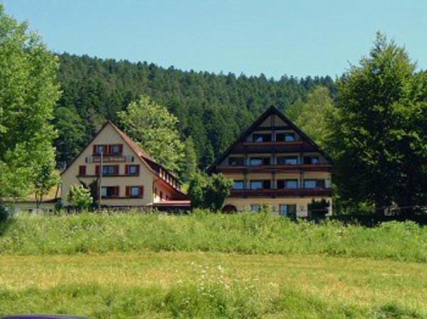 Gasthof Erlenhof Alpirsbach Extérieur photo