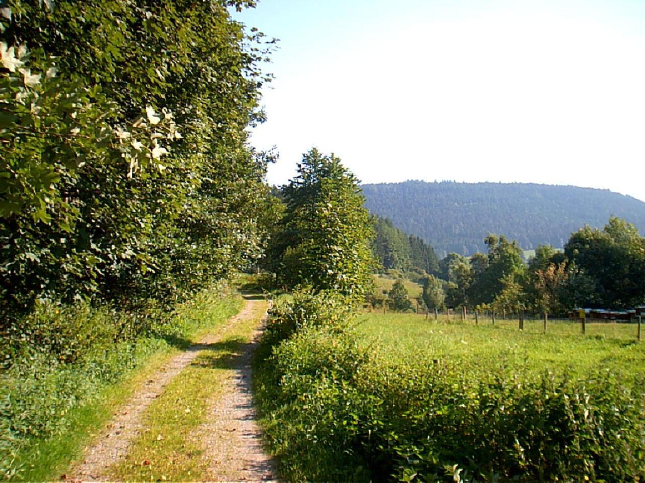 Gasthof Erlenhof Alpirsbach Extérieur photo